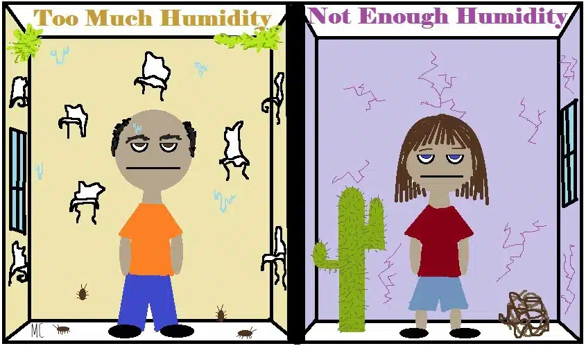 Understanding Humidity Levels: Less is More, More or Less.