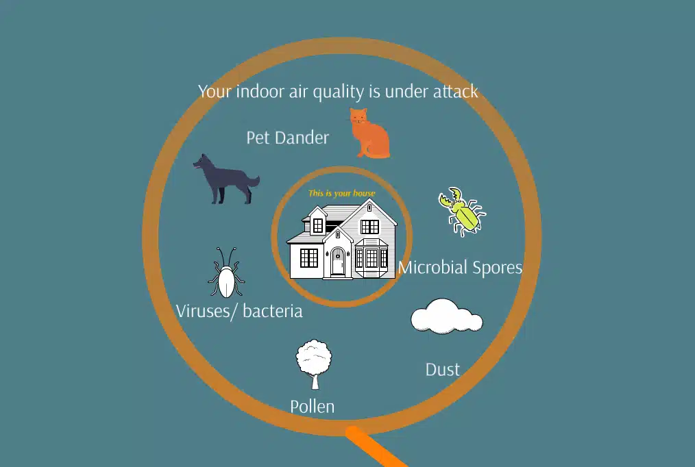 How to Improve Indoor Air Quality?