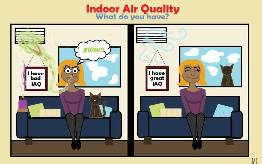 Indoor Air Quality In Your Home